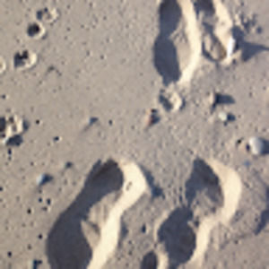 Meet your Posher, Madeleine